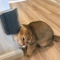 Animals & Pet Supplies